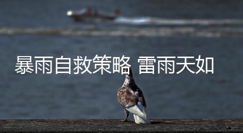 暴雨自救策略 雷雨天如何保安康