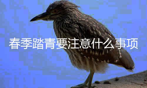 春季踏青要注意什么事项